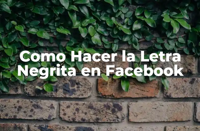 Como Hacer la Letra Negrita en Facebook