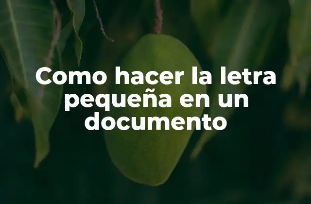 Como Hacer la Letra Pequeña en un Documento