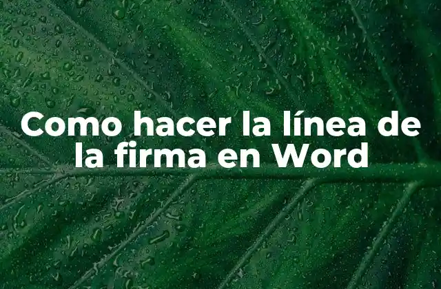 Como Hacer la Línea de la Firma en Word