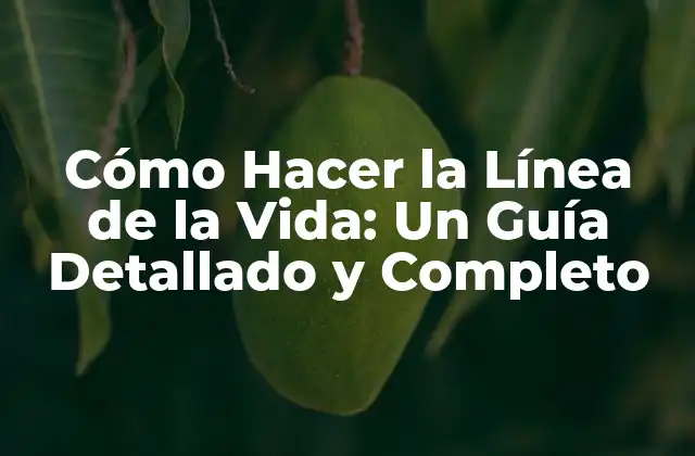 Cómo Hacer la Línea de la Vida: un Guía Detallado y Completo