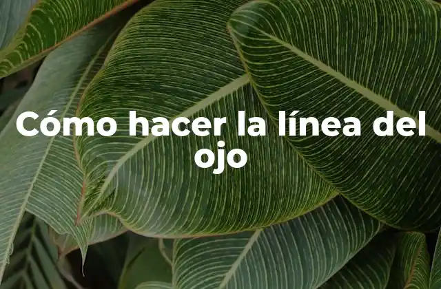 Cómo Hacer la Línea Del Ojo