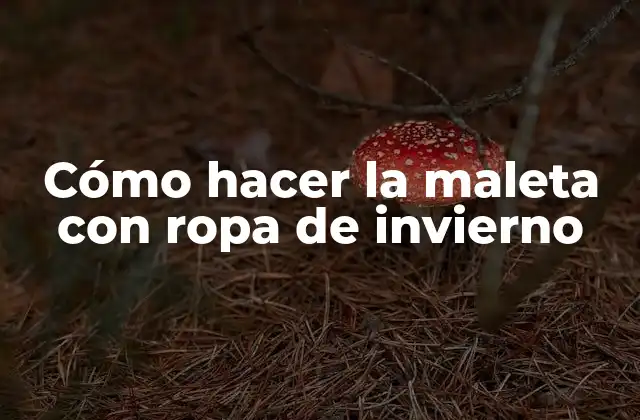 Cómo Hacer la Maleta con Ropa de Invierno