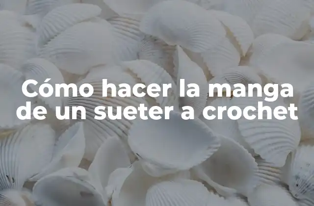 Cómo Hacer la Manga de un Sueter a Crochet