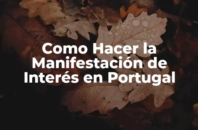 Como Hacer la Manifestación de Interés en Portugal