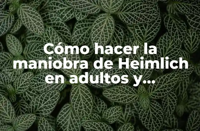 Cómo Hacer la Maniobra de Heimlich en Adultos y Embarazadas