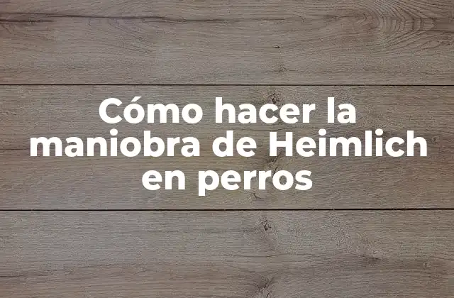 Cómo Hacer la Maniobra de Heimlich en Perros