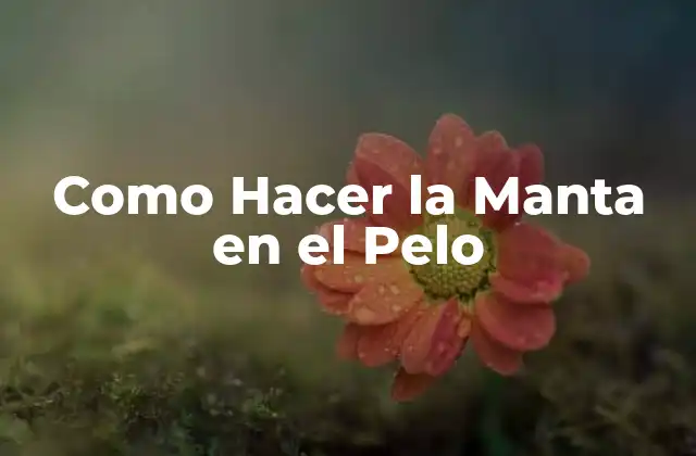 ¿Qué es la Manta en el Pelo y para Qué Sirve?