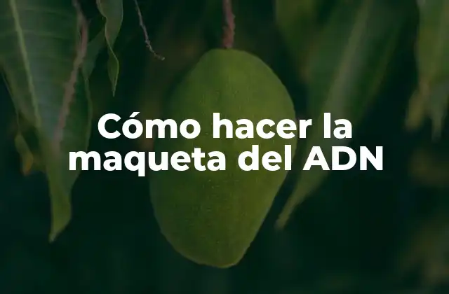 Cómo Hacer la Maqueta Del Adn