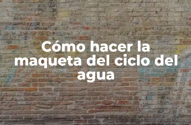 Cómo Hacer la Maqueta Del Ciclo Del Agua