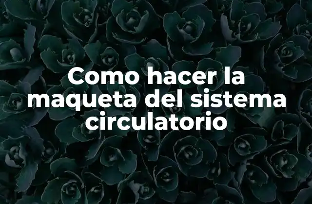 Como Hacer la Maqueta Del Sistema Circulatorio