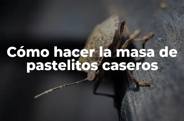 Cómo Hacer la Masa de Pastelitos Caseros