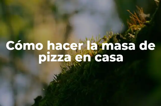 Cómo Hacer la Masa de Pizza en Casa