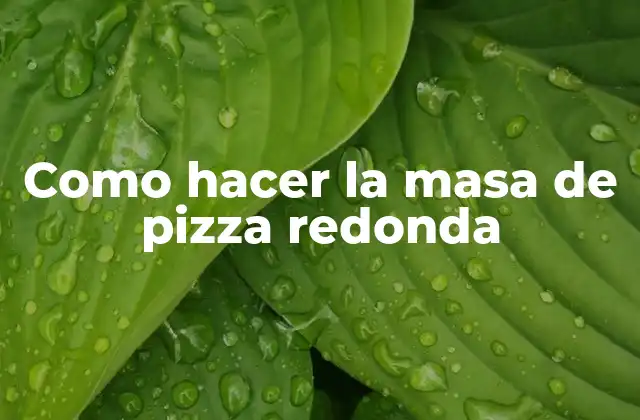 Como Hacer la Masa de Pizza Redonda 2 La masa de pizza redonda: qué es y para qué sirve