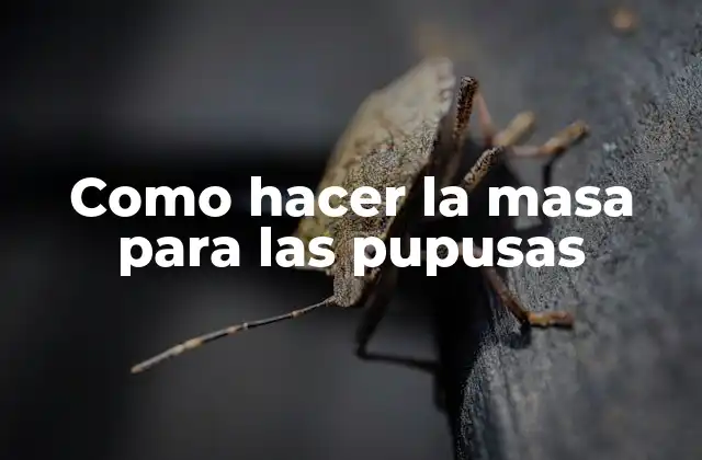 Como Hacer la Masa para las Pupusas