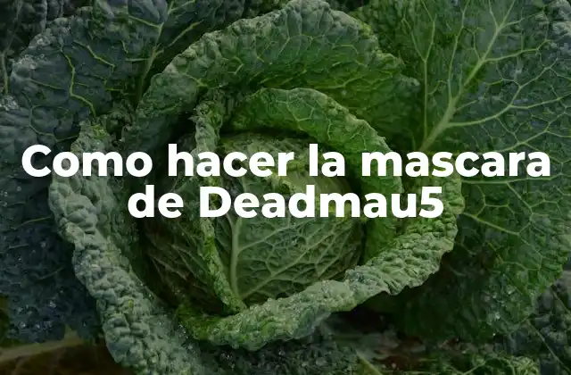 Como Hacer la Mascara de Deadmau5