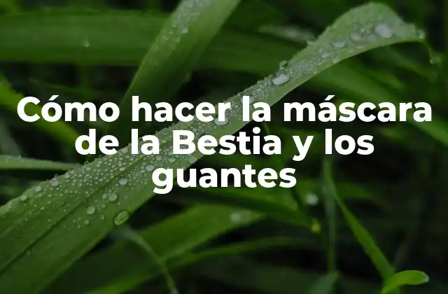 Cómo Hacer la Máscara de la Bestia y los Guantes