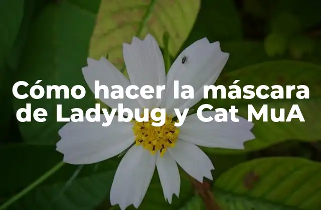Cómo Hacer la Máscara de Ladybug y Cat Mua