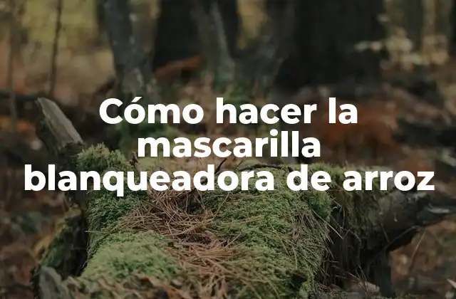 Cómo Hacer la Mascarilla Blanqueadora de Arroz