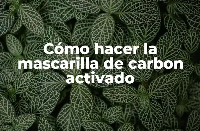 Cómo Hacer la Mascarilla de Carbon Activado