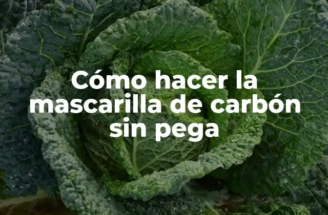 Cómo Hacer la Mascarilla de Carbón sin Pega