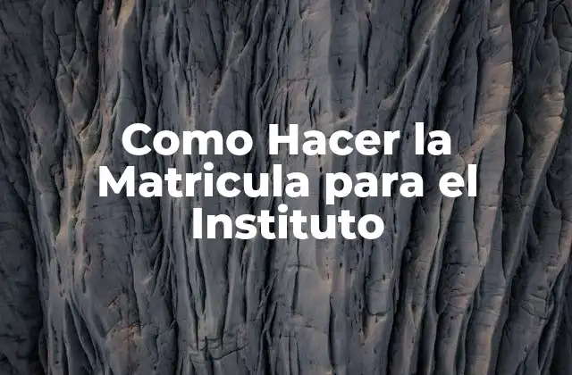 Como Hacer la Matricula para el Instituto