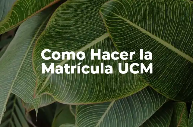 Como Hacer la Matrícula Ucm