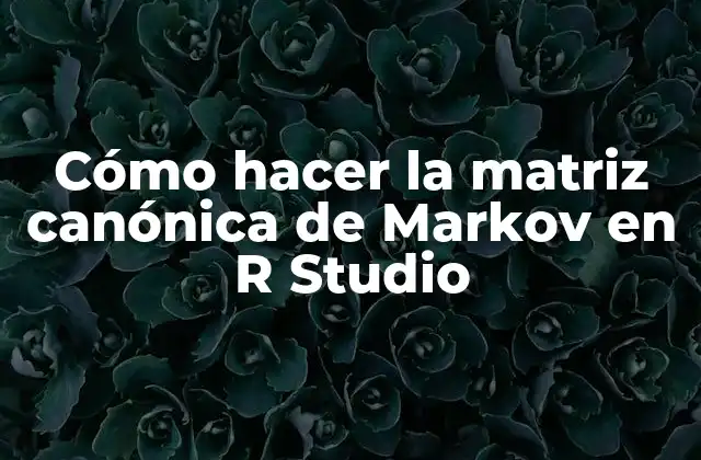 Cómo Hacer la Matriz Canónica de Markov en R Studio
