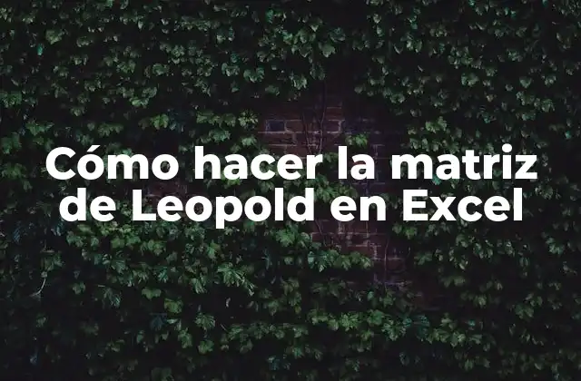 Cómo Hacer la Matriz de Leopold en Excel