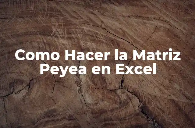 Como Hacer la Matriz Peyea en Excel