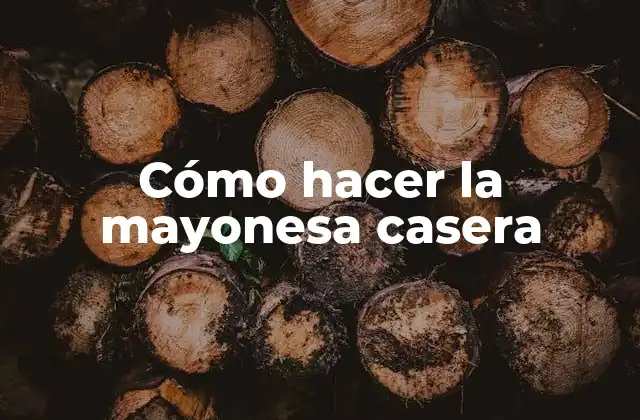 Cómo Hacer la Mayonesa Casera