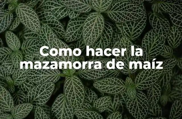 Como Hacer la Mazamorra de Maíz