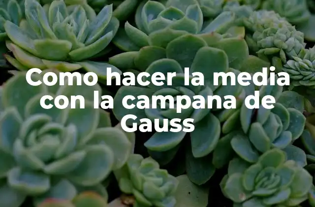 Como Hacer la Media con la Campana de Gauss