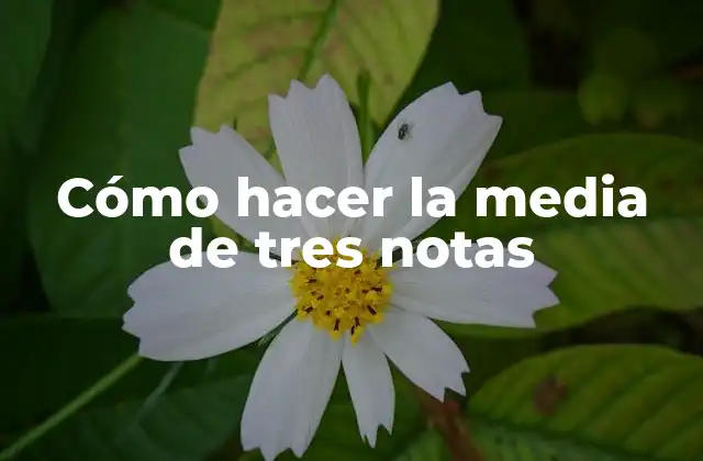 Cómo Hacer la Media de Tres Notas