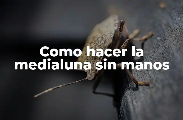 Como Hacer la Medialuna sin Manos