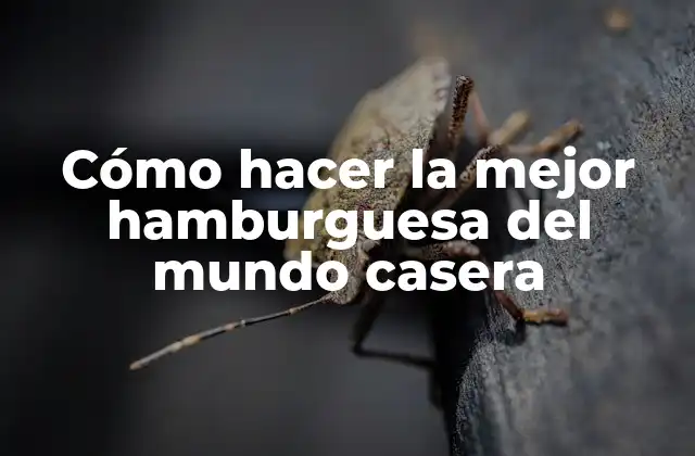 Cómo Hacer la Mejor Hamburguesa Del Mundo Casera