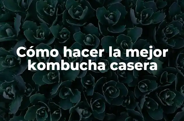 Cómo Hacer la Mejor Kombucha Casera