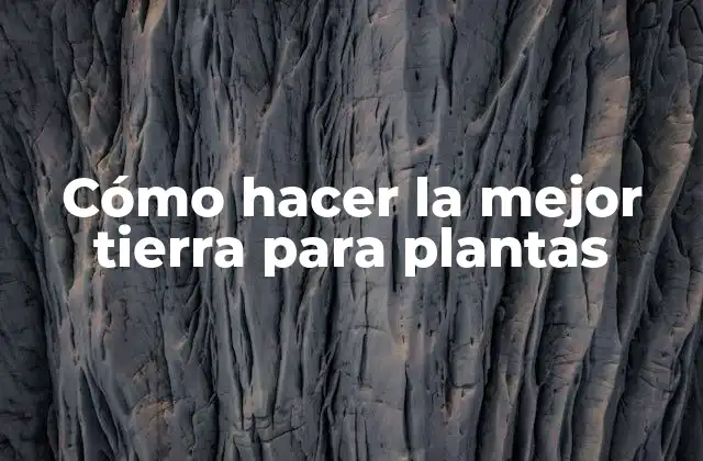 Cómo Hacer la Mejor Tierra para Plantas