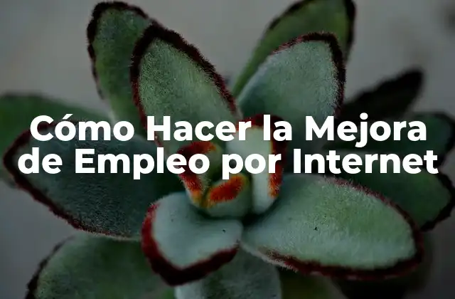 Cómo Hacer la Mejora de Empleo por Internet