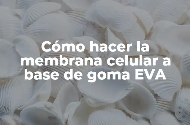 Cómo Hacer la Membrana Celular a Base de Goma Eva