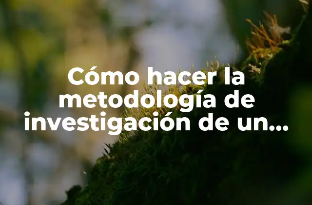 Cómo Hacer la Metodología de Investigación de un Proyecto
