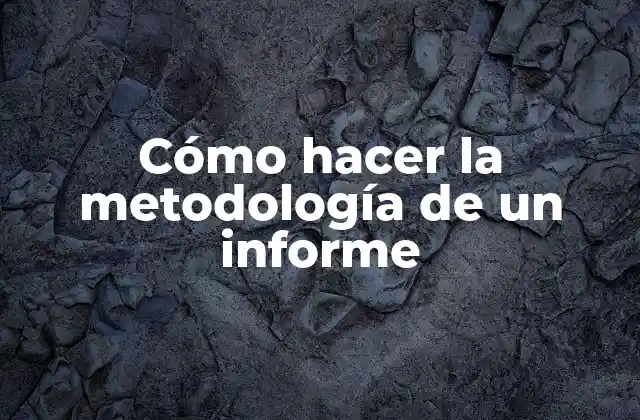 Cómo Hacer la Metodología de un Informe