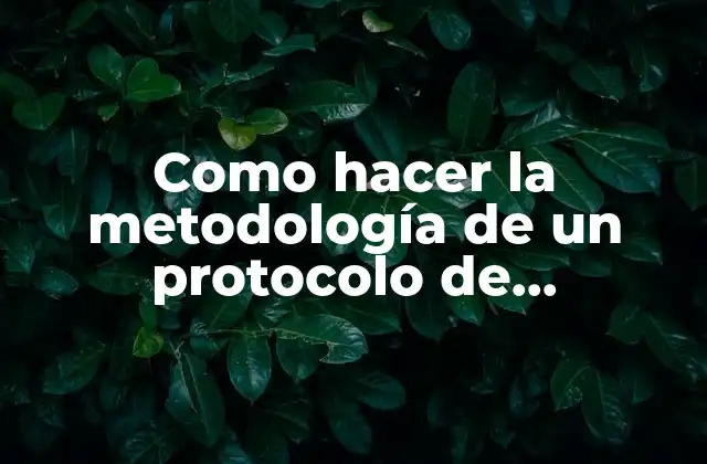 Como Hacer la Metodología de un Protocolo de Investigación