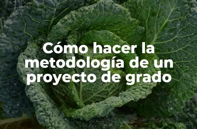 Cómo Hacer la Metodología de un Proyecto de Grado
