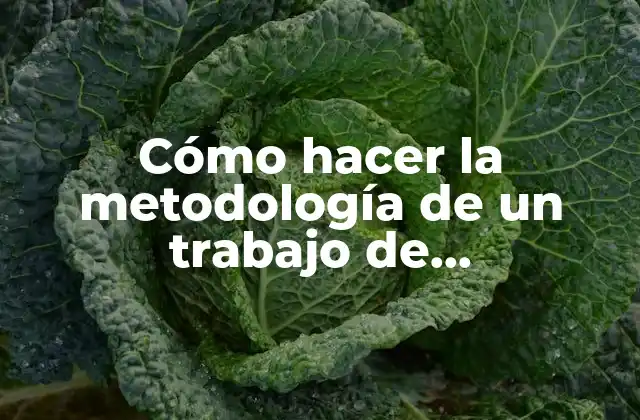 Cómo Hacer la Metodología de un Trabajo de Investigación Ejemplos