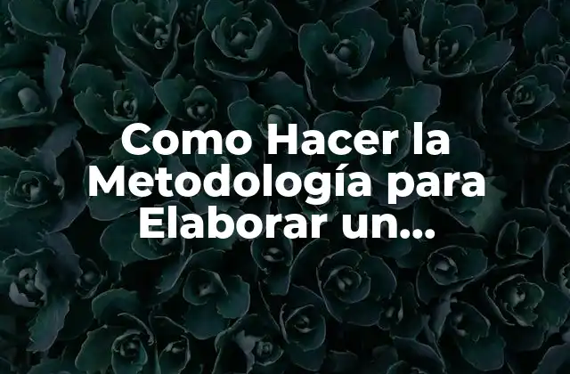 Como Hacer la Metodología para Elaborar un Diagnóstico Educativo