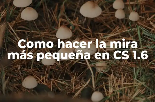 Como Hacer la Mira Más Pequeña en Cs 1.6