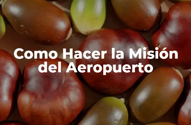 Como Hacer la Misión Del Aeropuerto