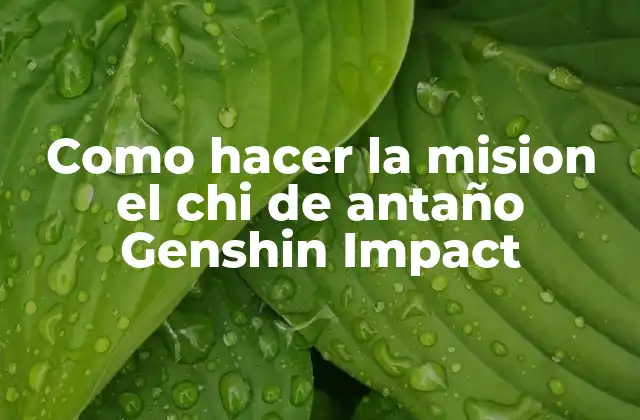 Como Hacer la Mision el Chi de Antaño Genshin Impact