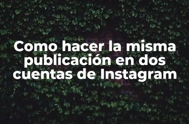 Como Hacer la Misma Publicación en Dos Cuentas de Instagram
