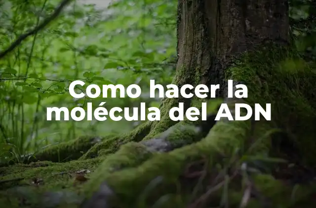 Como Hacer la Molécula Del Adn